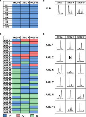 High TRGV 9 Subfamily Expression Marks an Improved Overall Survival in Patients With Acute Myeloid Leukemia